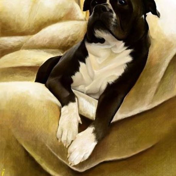 Meet your Posher, Isaiah - Picture 1 of 1